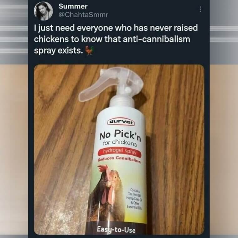 Anti-Cannibalism Spray for Chickens