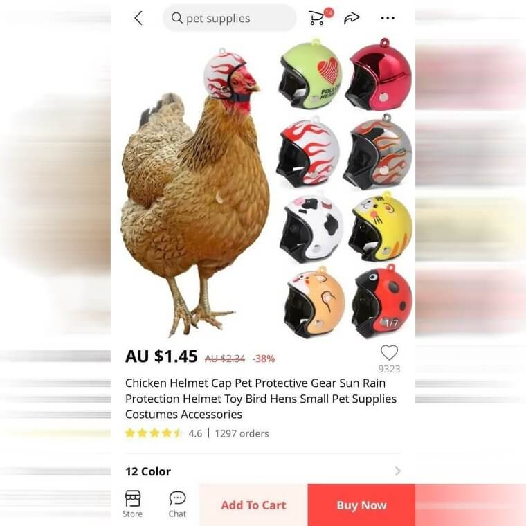 A Helmet for Your Chicken