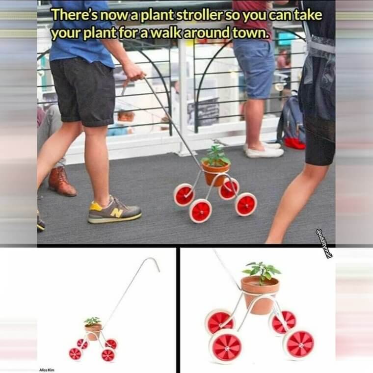 Take Your Plant for a Walk Around Town