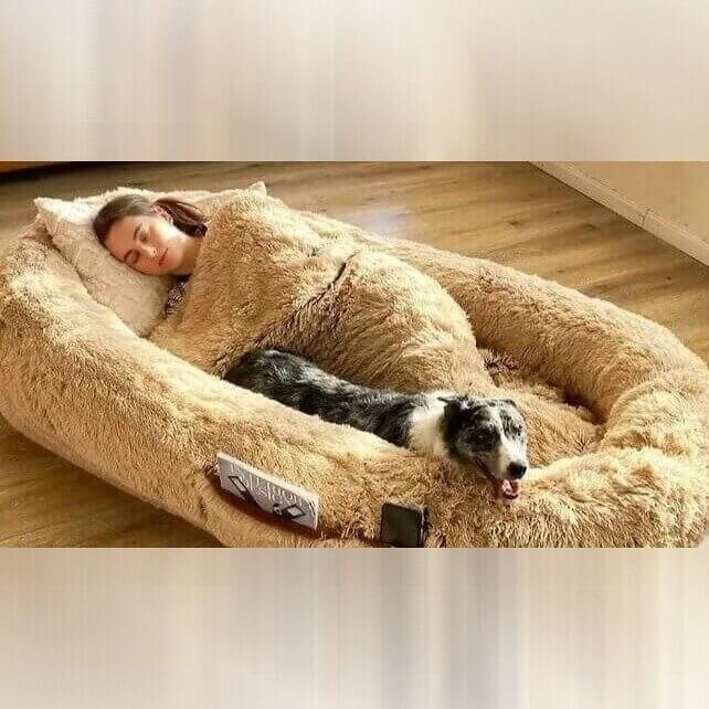 A Dog Bed in a Human Size
