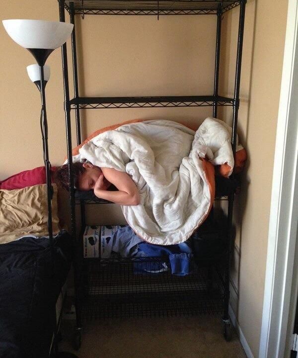 We Couldn't Find Our Roommate, Then We Checked The Shelf