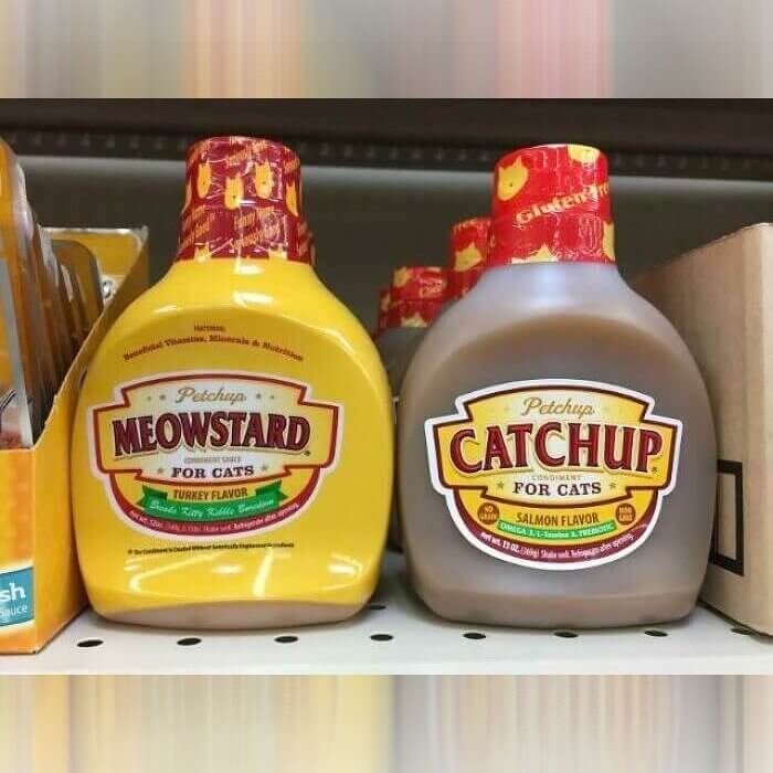Ketchup and Mustard for Cats