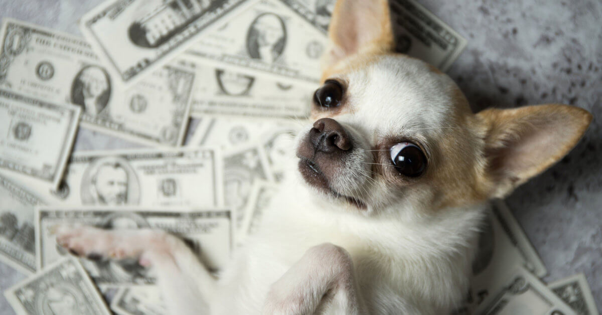 Funny and Accurate Money Memes That Speak The Financial Truth